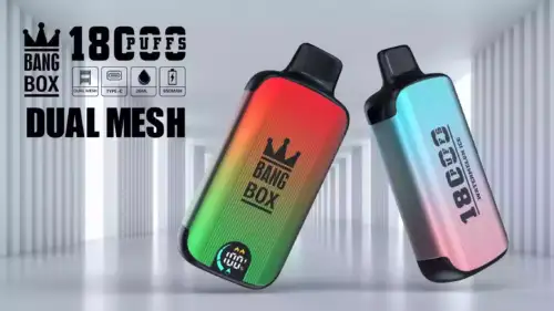 BANG BOX 18000 Puffs Disposable Vape Long-Lasting Powerful Vaping Experience