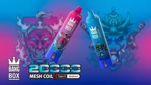 BANG BOX 20000 Puffs Disposable Vape 35mL E-Liquid 850mAh Battery Mesh Coil Nicotine 0% 2% 3% 5%
