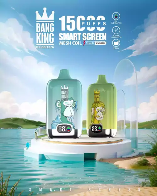 BANG King 15000 Puffs LED Disposable Vape 25ml E-Liquid 650mAh Battery Mesh Coil Nicotine 0% 2% 3% 5%