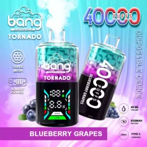 Bang 40000 Puffs Vape jetable 40ml E-Liquid 850mAh Battery Mesh Coil Nicotine 0% 2% 3% 5%