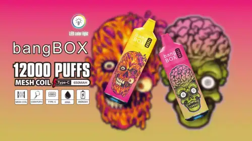 Bang BOX 12000 Puffs Disposable Vape 20ml E-Liquid 650mAh Battery Mesh Coil Nicotine 0% 2% 3% 5%