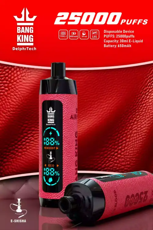 Bang King 25000 Puffs Leather Case Disposable Vape 30ml E-Liquid 650mAh Battery Mesh Coil Nicotine 0% 2% 3% 5%