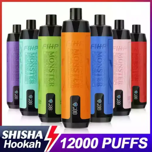 FIHP Shisha Hookah 12000 Puffs Disposable Vape 22ml E-Liquid 650mAh Battery Mesh Coil Nicotine 0% 2%