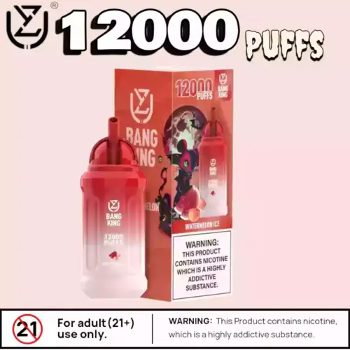 UZY Bang King 12000 Puffs Disposable Vape – Long-Lasting & Flavorful