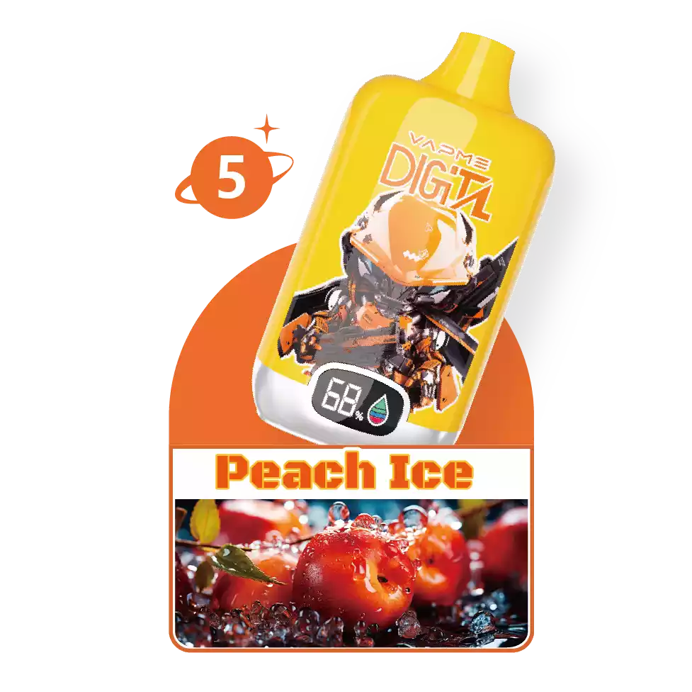 VAPME Digital 12000 Puffs Disposable Vape 20ml E-Liquid850mAh Battery Mesh Coil Nicotine 2% 5%