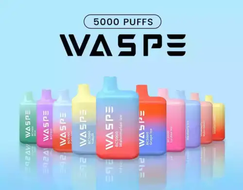WASPE 5000 Puffs Disposable Vape 13ml E-Liquid Mesh Coil 650mAh Rechargeable Battery